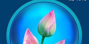 MD 101Cสมาธิ1
